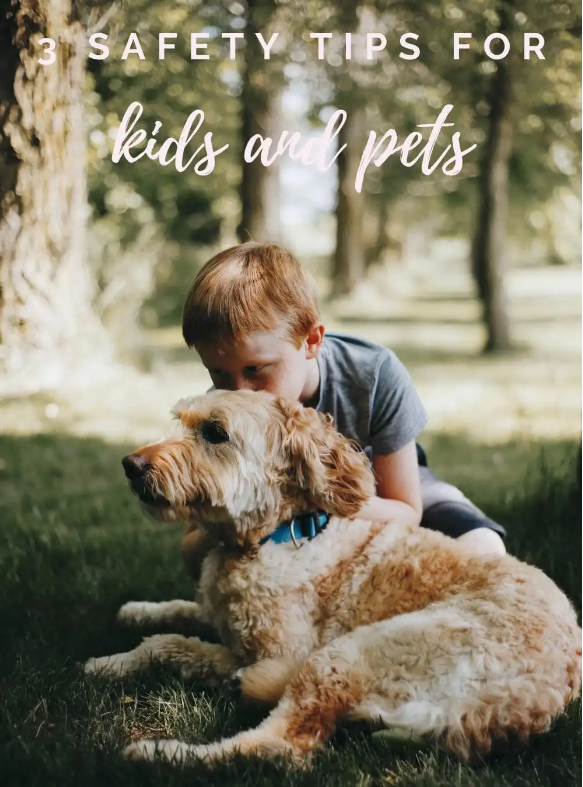 Ensuring Pet Safety for Kids: 3 Vital Tips