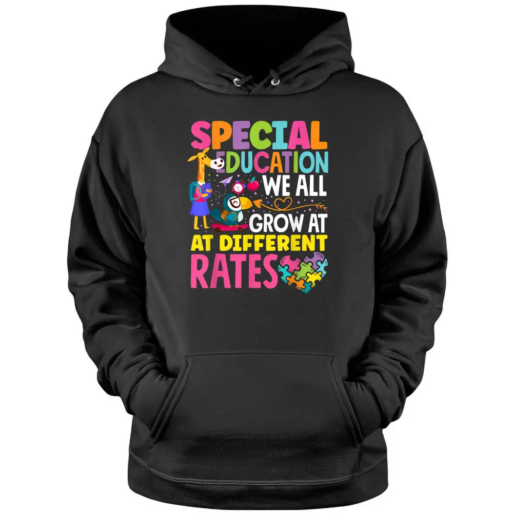 Paraeducator Paraprofessional SPED Teacher Special Education Pullover Hoodie