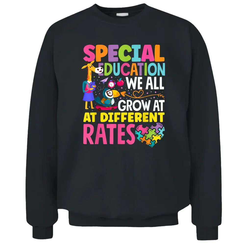 Paraeducator Paraprofessional SPED Teacher Special Education Pullover Sweatshirt