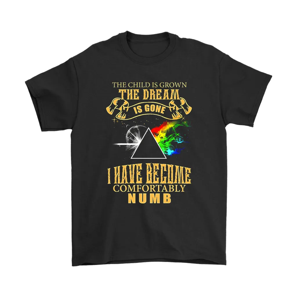 The Child Is Grown The Dream Is Gone Comfortably Numb Unisex T-Shirt, Hoodie, Sweatshirt